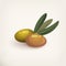 Italian green olive berries or fruits, vector icon