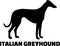 Italian Greyhound silhouette real word