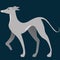 Italian Greyhound Vector Illustration with Backdrop