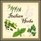 Italian Herbs, Classic Blend of Cooking Ingredients