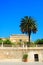 Italian historic building and palm tree