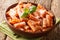 Italian homemade Tortiglioni pasta with parmesan basil in tomato sauce close-up in a plate. horizontal