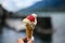 Italian ice cream cone in hand with blurry background