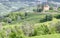Italian Langhe summer vineyards. Color image