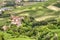 Italian Langhe summer vineyards. Color image