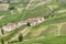 Italian Langhe vinery farm, summertime. Color image