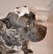 Italian mastiff cane corso shampoo foam head