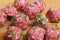 Italian Meatballs Preparation