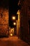 Italian medieval village night view 2