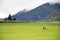 Italian mother pushing stroller in grass field beside road