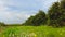 Italian orange orchards