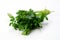 Italian Parsley