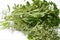 Italian parsley, sage and oregano on an background