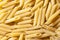 Italian pasta - penne