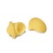 Italian Pasta - `Pipette` or `Little Pipe` Type