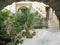 Italian patio with many potted plants and stairway
