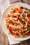 Italian penne pasta with pulled pork, cheese, tomato sauce and herbs close-up on a plate. Vertical top view