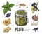 Italian pesto food dressing ingredients sketch vector illustration isolated.