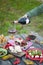 Italian picnic with red wine, parmesan, ham and olives. Lunch in the open air. Traditional snacks. A man pours a glass of wine.