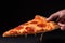 Italian pizza New-York slice fast food hot crunchy fresh tasty meal salami tomato mozzarella dinner restaurant bistro