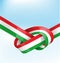 Italian ribbon flag