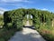 Italian Rose Garden or Italienscher Rosengarten - Flower Island Mainau on the Lake Constance or Die Blumeninsel im Bodensee