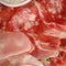 Italian Salumi closeup