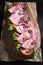 Italian submarine sandwich