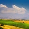 Italian summer countryside landscape â€“ golden and green fields and blue sky