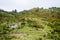 Italian Terrace Farming