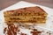 Italian tiramisu sweet cake