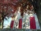 Italian villa with red shutters and red prunus trees