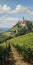 Italian Vineyard Landscape: Delicately Rendered Tuscan Beauty