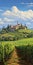 Italian Vineyard Landscape Painting In The Style Of Dalhart Windberg