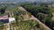 Italian Vineyards in Benevento in Italy