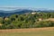 Italian vineyards. Picturesque landscape in italian countryside.