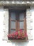 Italian window with pink flowering plants