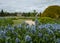 Italianate Garden on the Trentham Estate, Stoke-on-Trent, UK.  Camassia flowers in foreground.