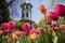 italianate tower seen over blooming tulips in garden