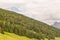 Italy, Alpe di Siusi, Seiser Alm with Sassolungo Langkofel Dolomite, a close up of a lush green hillside