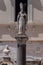 Italy.  Bari. San Sabino.  17th century statue on granite column in the courtyard of the Archbishop's Palace