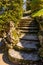 Italy, Bellagio, Lake Como, FOOTPATH AMIDST ROCKS AND TREES IN FOREST