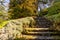 Italy, Bellagio, Lake Como, STEPS AMIDST TREES IN FOREST