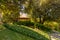 Italy, Bellagio, Lake Como, TREES IN GARDEN