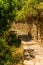 Italy, Cinque Terre, Corniglia, FOOTPATH AMIDST PLANTS IN PARK