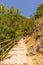 Italy, Cinque Terre, Corniglia, FOOTPATH AMIDST TREES AGAINST CLEAR SKY