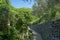 Italy, Cinque Terre, Corniglia, FOOTPATH AMIDST TREES IN FOREST AGAINST SKY