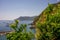 Italy, Cinque Terre, Vernazza, a tree next to a body of water with Oddicombe Beach in the background