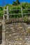 Italy, Cinque Terre, Vernazza, VIEW OF STONE WALL AGAINST TREES