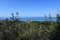 Italy, Lazio: View of Bolsena lake.